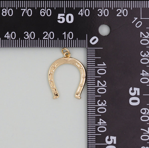 Horse Shoe Charm